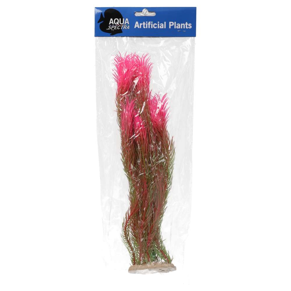 AQ Ludwigia Plant Pink 40cm 1DA312