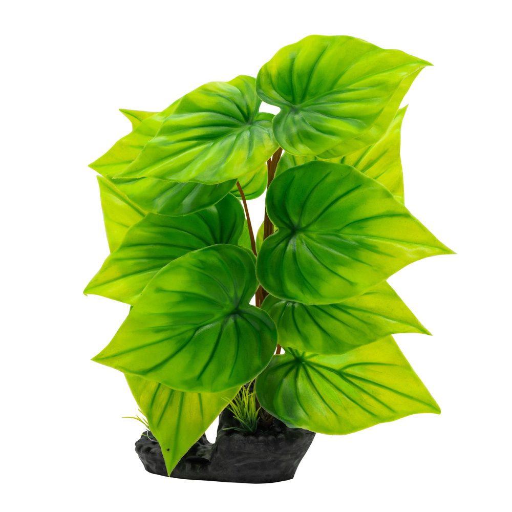 AQ Phylodendron Plant Green 40cm 1DA323