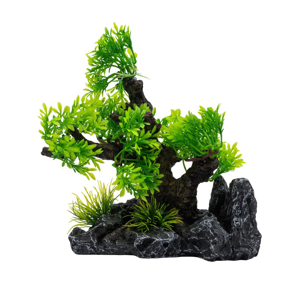 AQ Bonsai Tree Med 19.5x13.5x19.5cm 1DA375