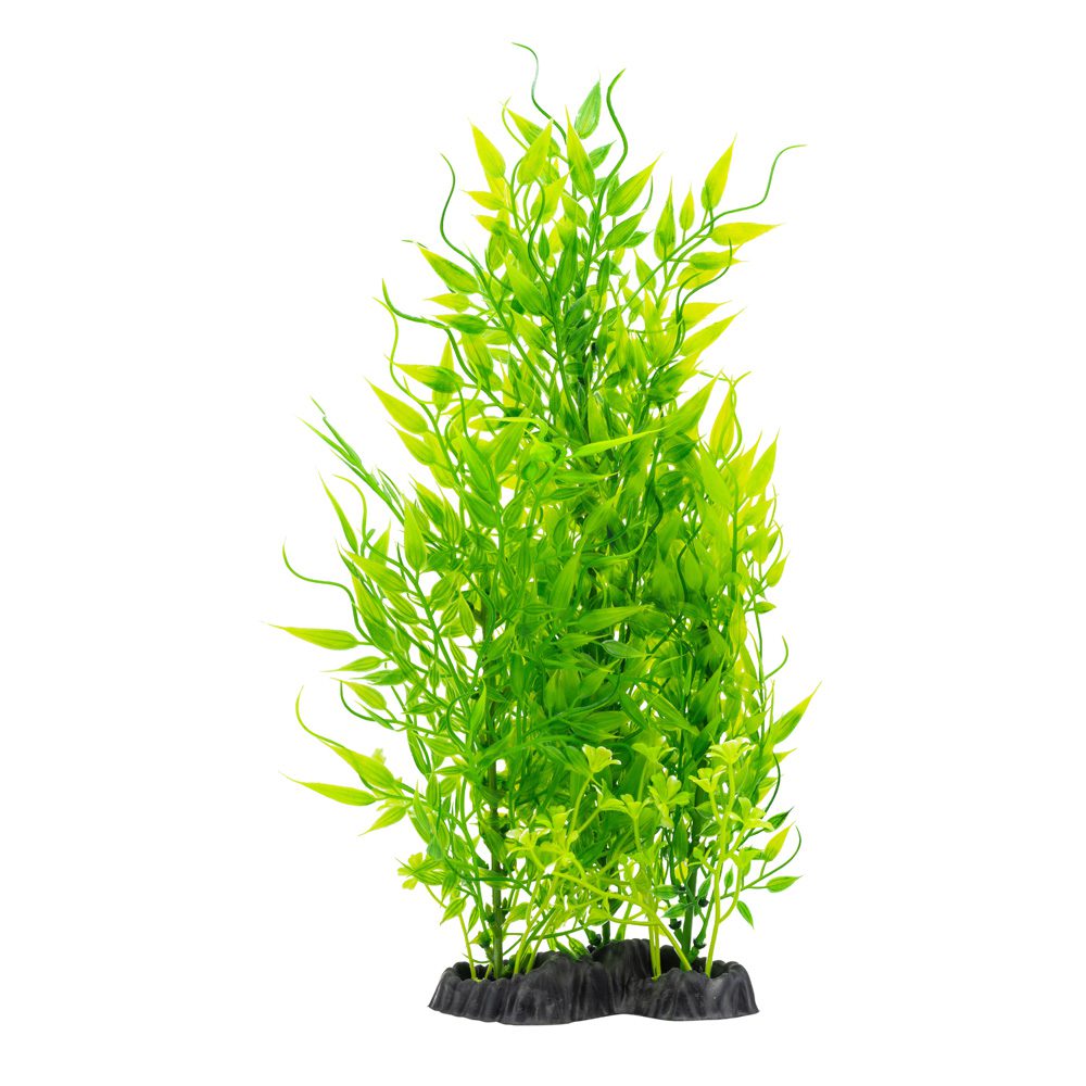 AQ Limnophila Plant 30cm 1DA475