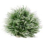 AQ Moss Ball