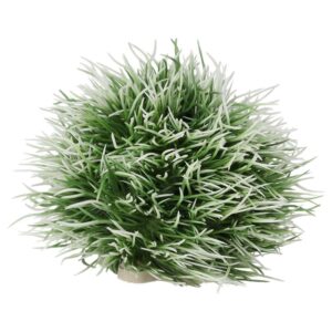 AQ Moss Ball