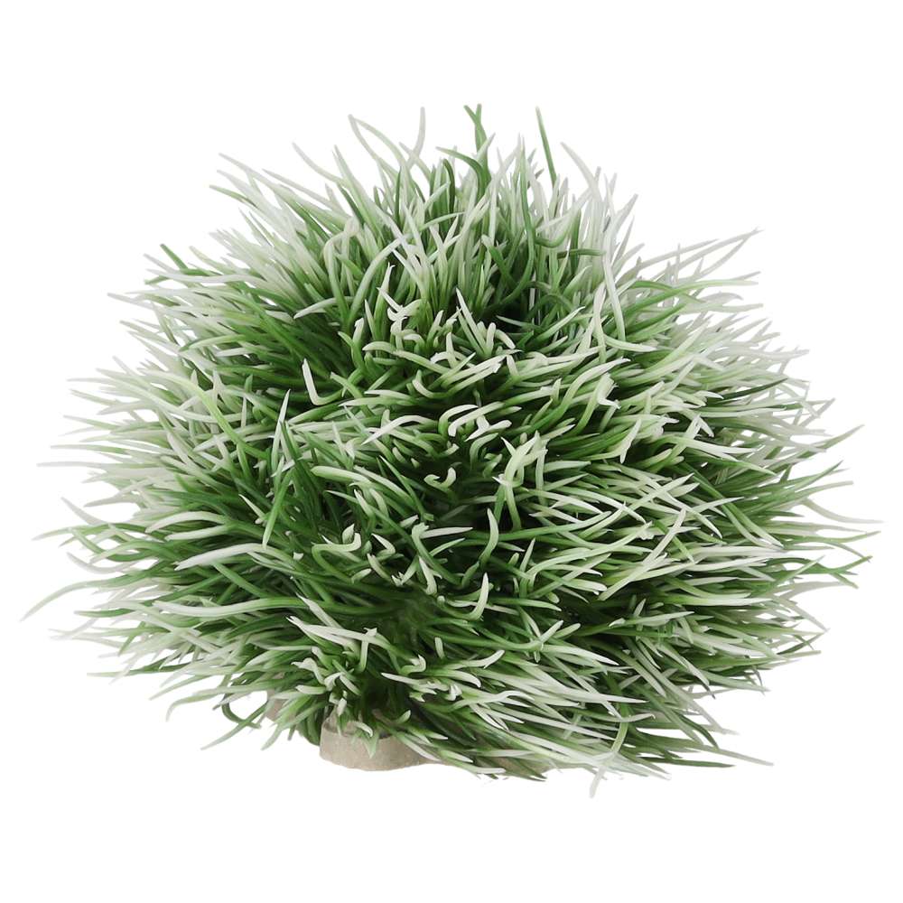 AQ Moss Ball