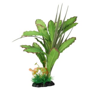 AQ Narrow Leaf Green