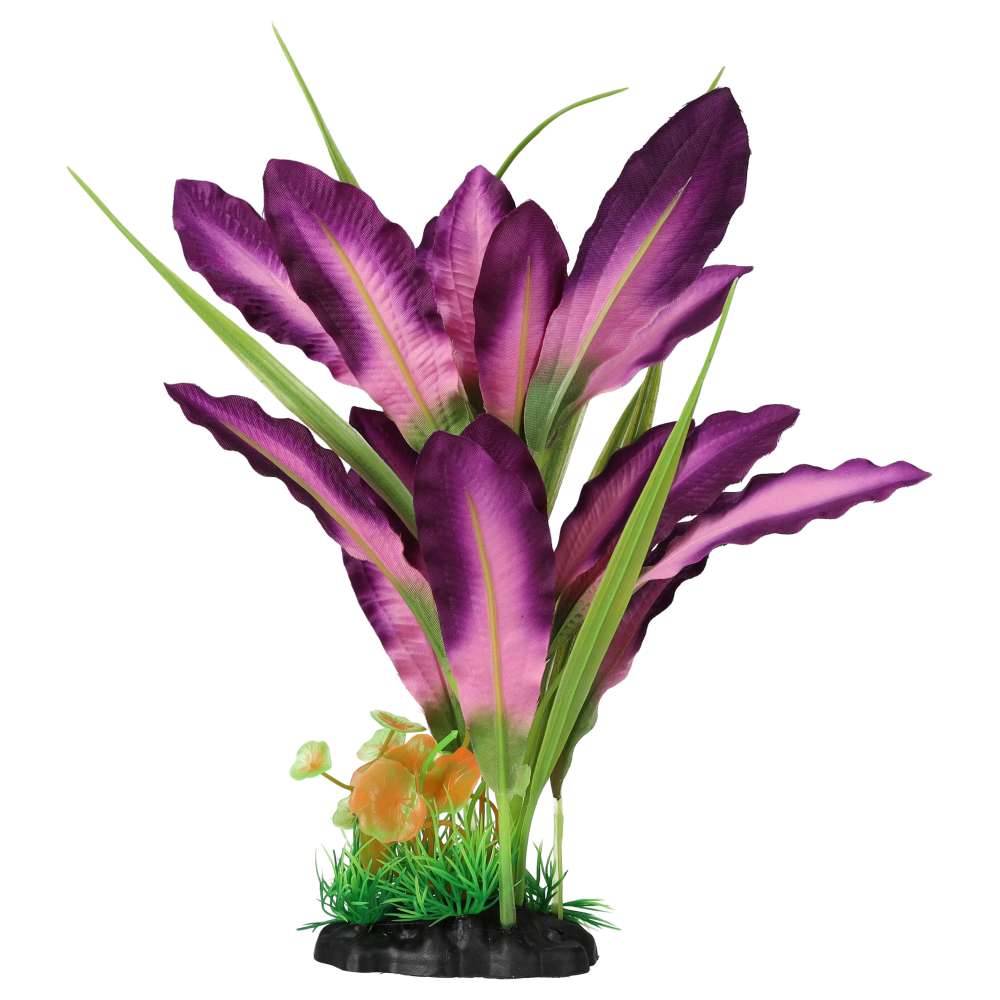 AQ Sword Leaf Purple