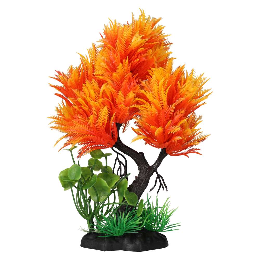 AQ Aquatic Tree Orange