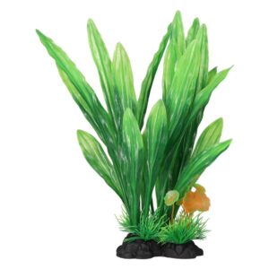 AQ Amazon Sword Leaf Green