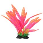AQ Amazon Sword Leaf Pink