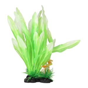 AQ Amazon Sword Leaf Lime
