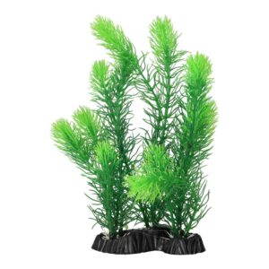 AQ Myrio Green