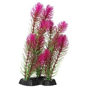 AQ Myrio Pink