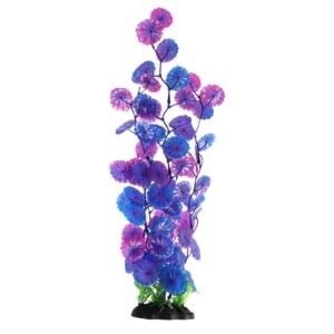 AQ Moneywort Purple