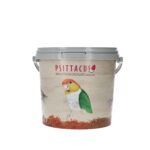 Psittacus 2ltr Plastic Decorate container