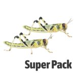 Locust SUPER-PACK, Extra-Large