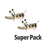 Locust SUPER-PACK, Large