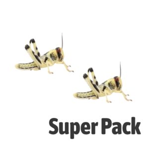 Locust SUPER-PACK, Medium