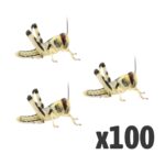 Locusts, Medium (1 X BAG OF 100)
