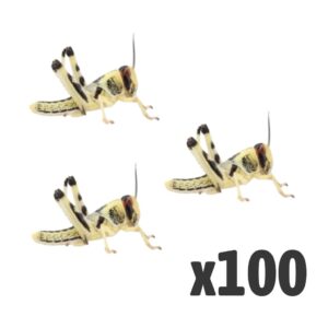 Locusts, Medium (1 X BAG OF 100)