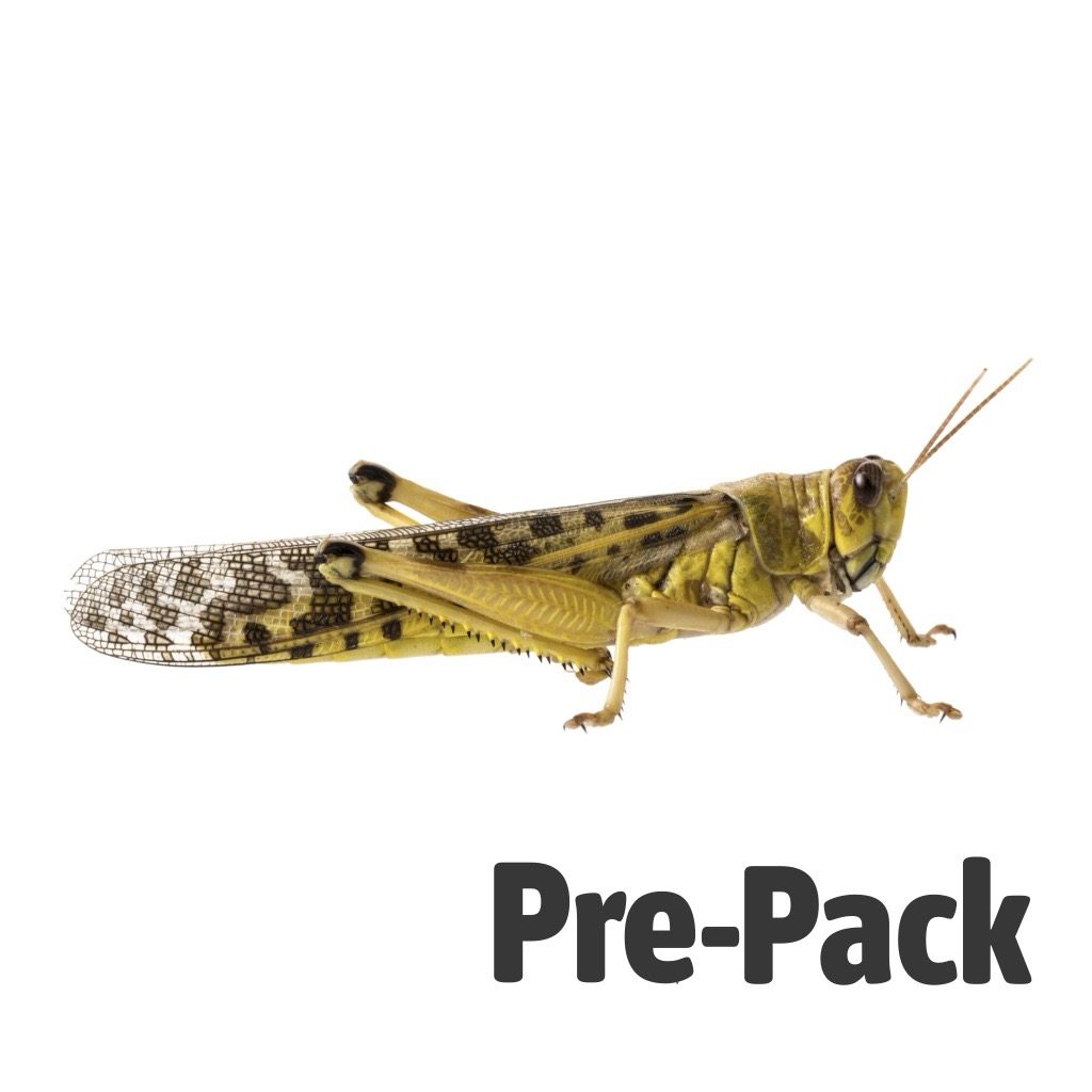 Locust pre-pack, Adult