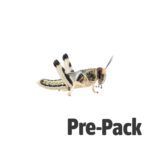Locust pre-pack, Large