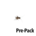 Black Crickets pre-pack, Small