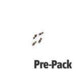 Black Crickets pre-pack, Micro