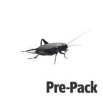 Black Crickets pre-pack, Extra-Large