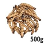 Morio (Bag of 500g)