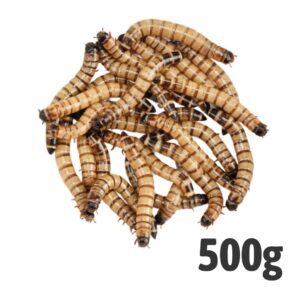 Morio (Bag of 500g)