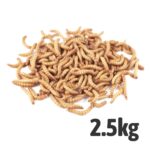 Mealworms Loose in trays (2.5 Kg)