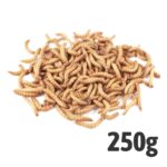 Mealworms (Bag of 250g)