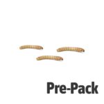 MINI Mealworm pre-pack