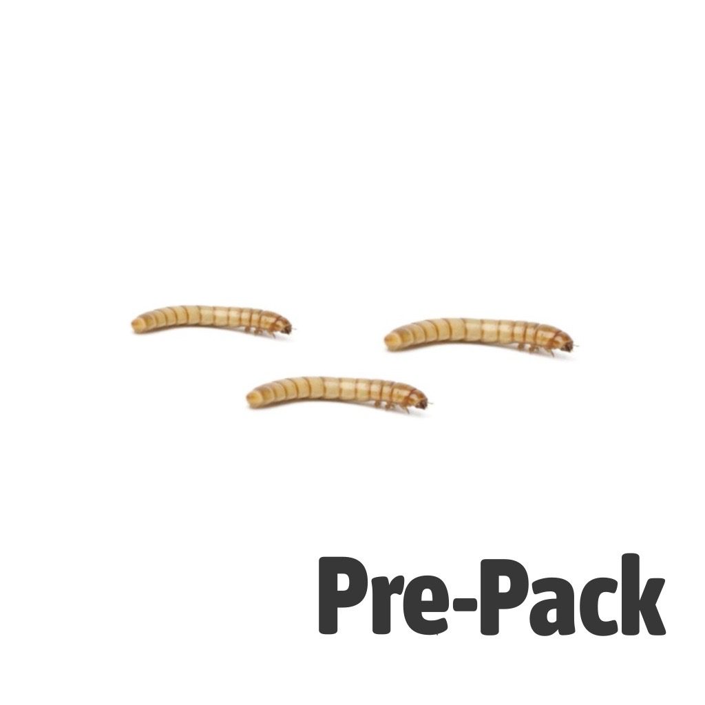 MINI Mealworm pre-pack