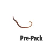 Small Worms (Dendrobaena) prepack 35
