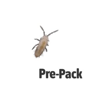 Springtails Pre-pack