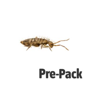 Springtails Pre-pack