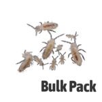Springtails BULK