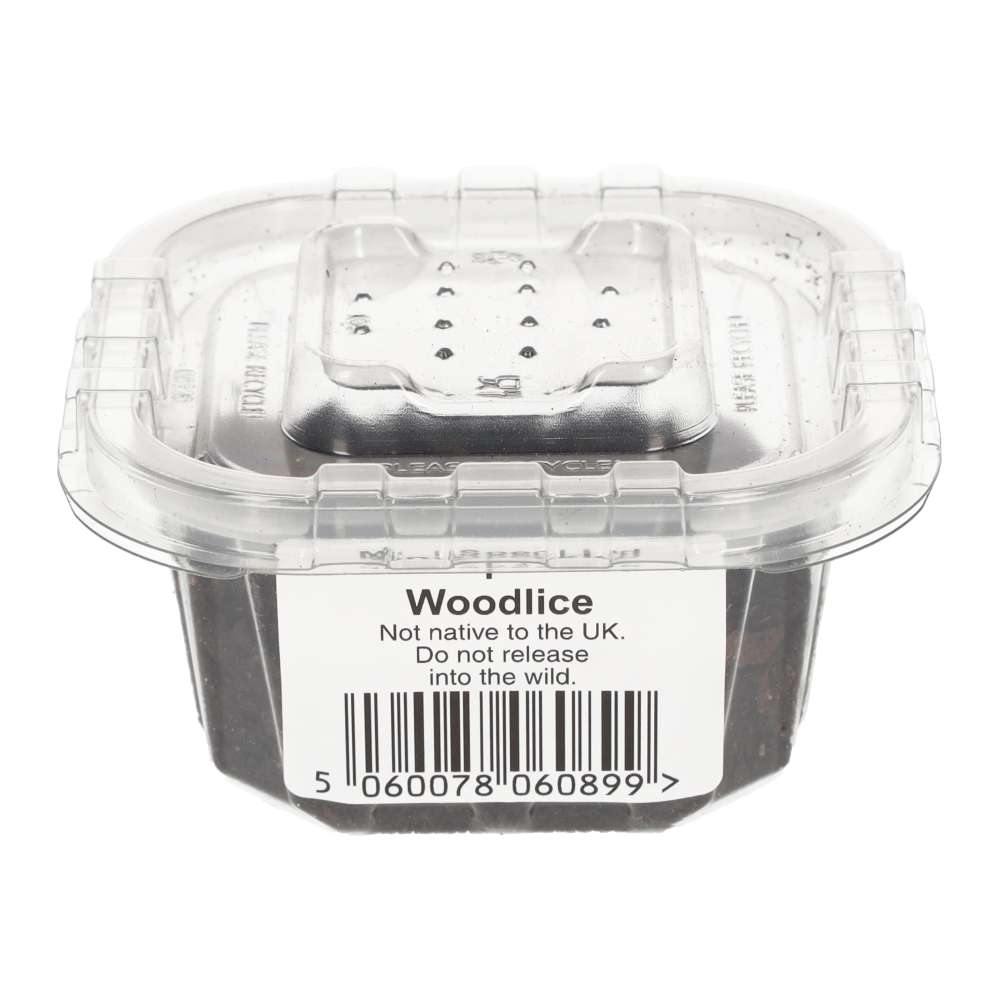 Mini Speckled Woodlice Pre-pack