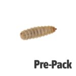 Calciworm Pre-Pack Large