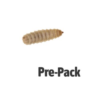 Calciworm Pre-Pack Large