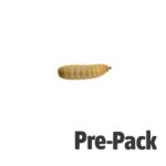 Calci-Worms Small, pre-pack