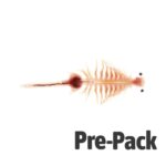 LIVE Brine Shrimp (Artemia) (100ml)