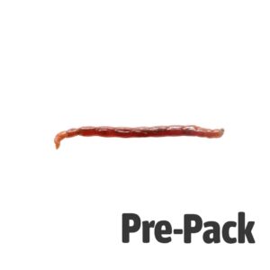 LIVE Bloodworm LARGE (100ml)