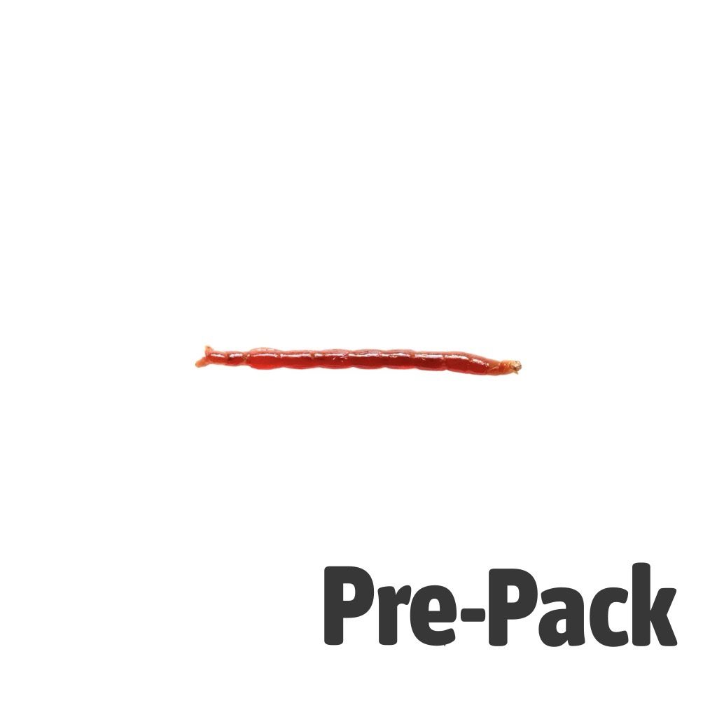 LIVE Bloodworm SMALL (100ml)