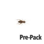 Silent Crickets pre-pack, Standard