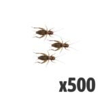 Silent Crickets, Standard (Bag of 500)