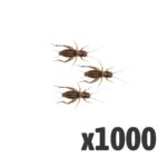 Silent Crickets, Standard (Bag of 1000)