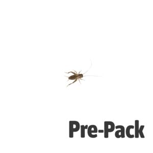 Silent Crickets pre-pack, Small
