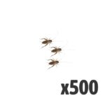 Silent Crickets, Small (Tub of 500)