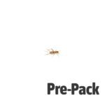 Brown House Cricket Pre-pack. Mini